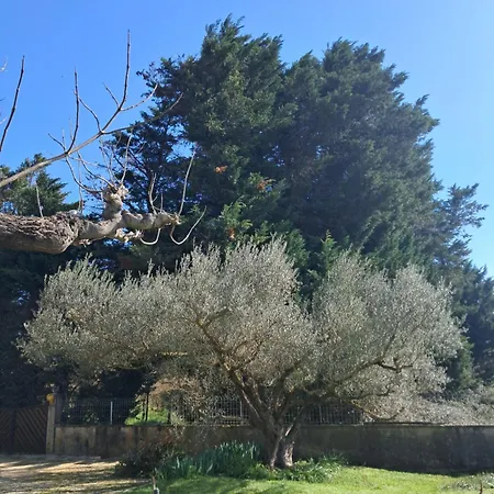 Proche De L Ardeche 펜션 *